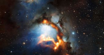 Reflection Nebula Reveals Intense Stellar Formation