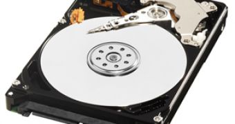 Rembrandt IP Management Sues Seagate and Western Digital
