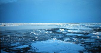 Report Shows the Onset of New Climate Phase for the Arctic