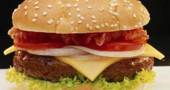 Hamburgers now linked to global warming