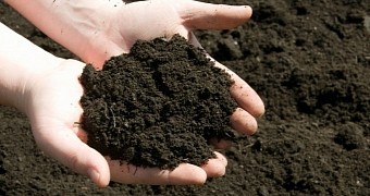 Researchers hope to find new drugs in soil samples
