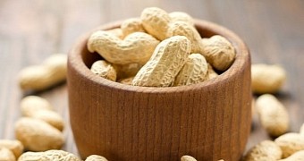 Study finds peanuts benefit the heart