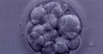 New printer uses embryonic stem cells as ink