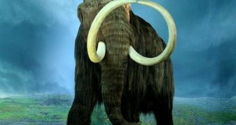 Woolly mammoths were indigenous to the cold lands of the Northern Hemisphere