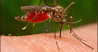 Researchers are working on developing new mosquito repellents