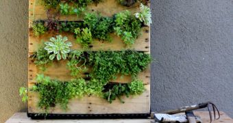 Restaurant wants to roll out a vertical garden, awaits permission
