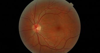 A human retina illuminated by a medical device