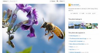 The new Flickr photo page