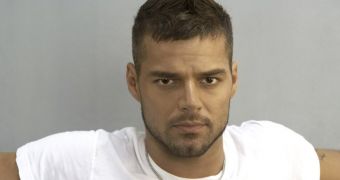 Ricky Martin asks Russian authorities to drop the hooliganism charges filed against the Arctic 30