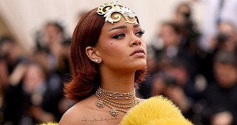 Rihanna Wears Longest Train Ever at the MET Gala 2015, Becomes a Meme - Gallery
