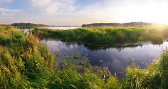 Study blames wetlands for recent increase in methane emissions
