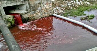 River of Blood Freaks Out Slovakian Village Locals