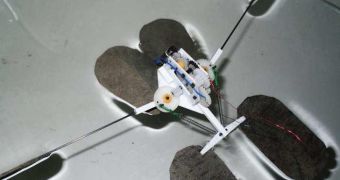 Robot Bug Walks on Water, Hops, Shies Away from Cameras