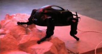 The Boston Dynamics robot clambers over rough terrain.