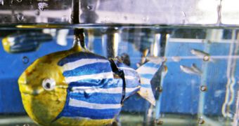 Robotic fish soon to aid live specimens