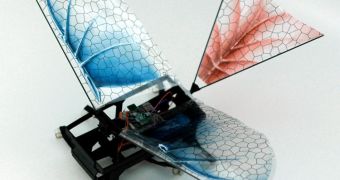 DASH+Wings showed the possibility of using robotic models to provide insight into biological performance