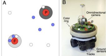 A diagram of the experiments (left) and one of the robots in the new study (right)