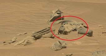Rocks on Mars resemble a cat statue