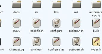 Rodent File Manager in action