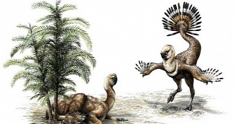 Artist's conception of a male oviraptor trying to woo a female