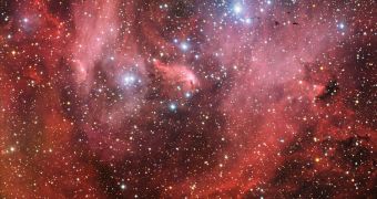This image depicts the Running Chicken Nebula