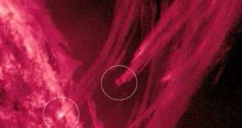 Earth could easily fit between these two streamers caused by coronal rain (encircled)