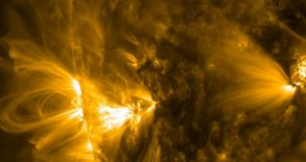 SDO images large coronal loop on the surface of the Sun