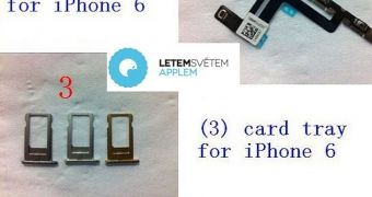 SIM Card Trays Show the Colors of the iPhone 6 – Leak