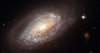 Image of NGC 2397