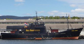This 2009 image shows the Sea Shepherd vessel Steve Irwin in the Hobart port, Australia