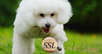 SSL 3.0 Falls in the Face of POODLE Attack, Needs to Be Disabled