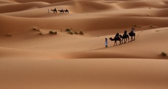 The sands of the Sahara desert undoubtedly hide even more remnants of past ages
