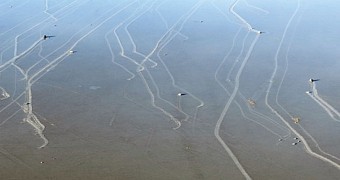 Image shows tracks left behind by sailing stones in California's Death Valley National Park
