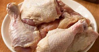 Raw chicken products caused ongoing salmonella outbreak in the US, health officials say