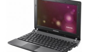 Samsung N350 netbook made public