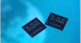 Samsung 50nm memory chips