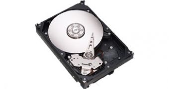 Seagate's 320GB SATA II SpinPoint HDD