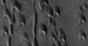 Martian sand-based landscape features are shaped by the way sand particles interact