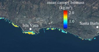 Giant kelp canopy biomass off Santa Barbara measured by Landsat 5 satellite from 1984-2010