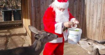Santa visits wild animals, brings them gifts