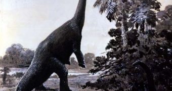 Sauropods were massive animals, able to graze the vegetation from ground level to the top end of trees