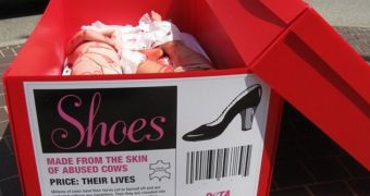 PETA girls lie down in giant shoeboxes, protest the leather industry