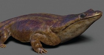 Scary-Looking Ancient Salamander Was a Top Predator the Size of a Car