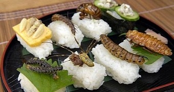 We really should start eating more insects, scientist says