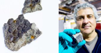 Scientists Are Placing Dinosaur Skin in a Particle Accelerator to Determine Its Color