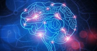 Researchers hope to develop implantable devices able to treat memory deficits