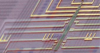 A programmable nanowire nanoprocessor