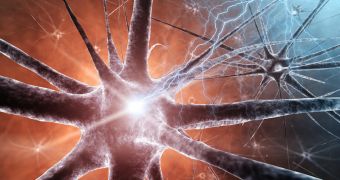 Scientific breakthrough promises to help those affected by myelin disorders