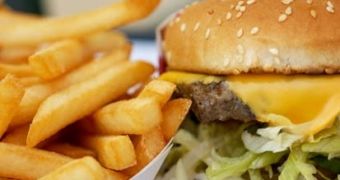 Scientists Create Emulsion that Influences Satiety