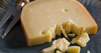 World's oldest cheese was found in an ancient tomb in China